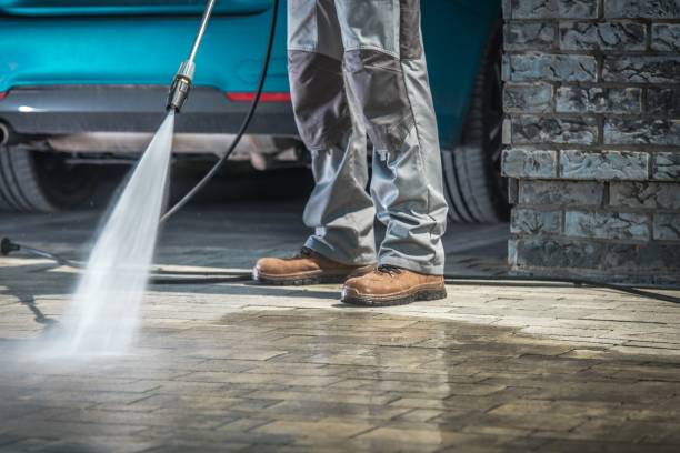 Best Sidewalk and Walkway Cleaning  in Elizabeth Lake, CA