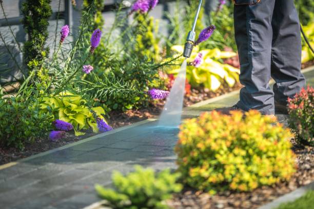 Best Winterizing Services  in Elizabeth Lake, CA