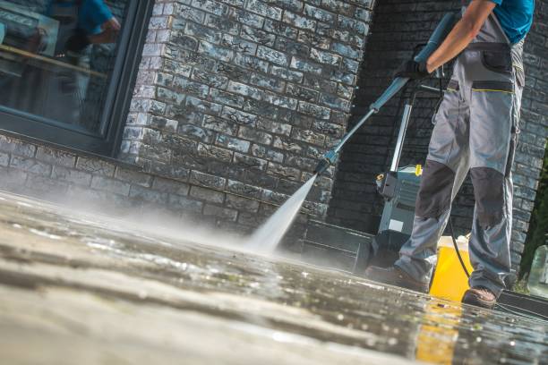 Best Spring Cleaning  in Elizabeth Lake, CA