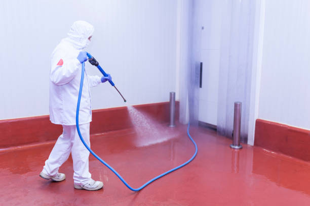 Best Boat and Dock Cleaning  in Elizabeth Lake, CA