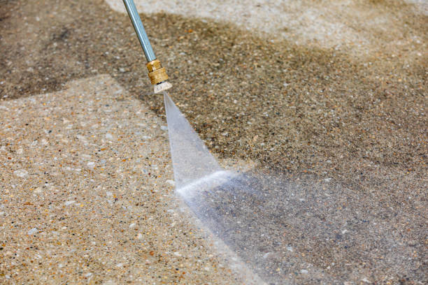 Best Pool Deck Cleaning  in Elizabeth Lake, CA